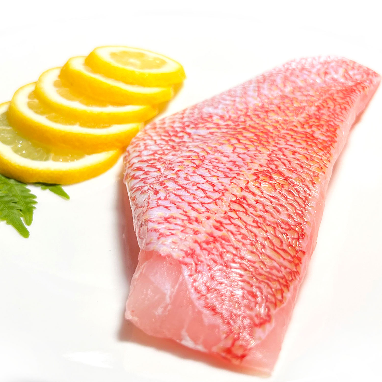 Demersal - Snapper Fillet